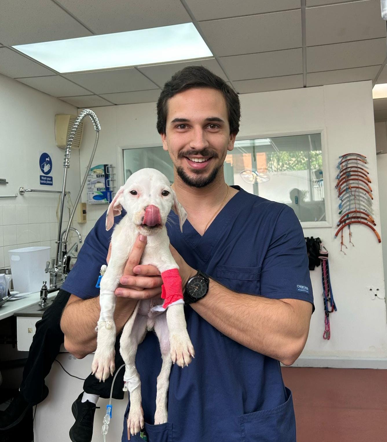 Dr Francisco Alfaia