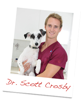 Dr Scott Crosby